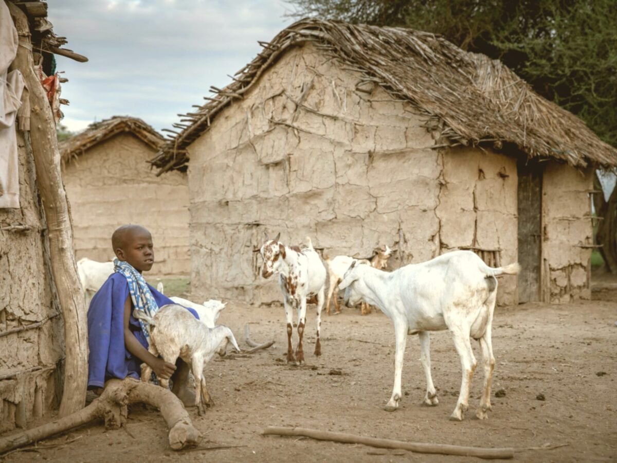 Dairy Goat Project | Field Proof