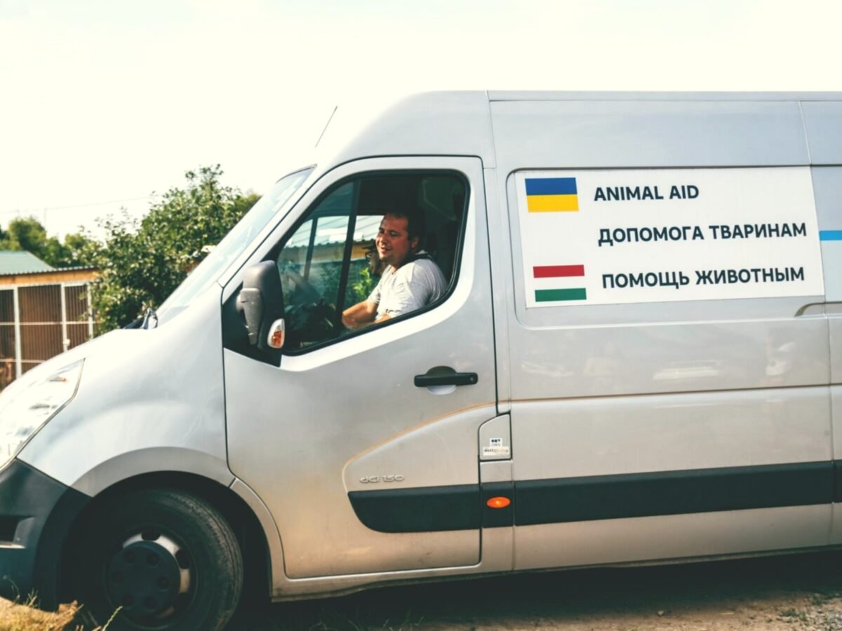 Mobile Veterinary Care | Intention Opened