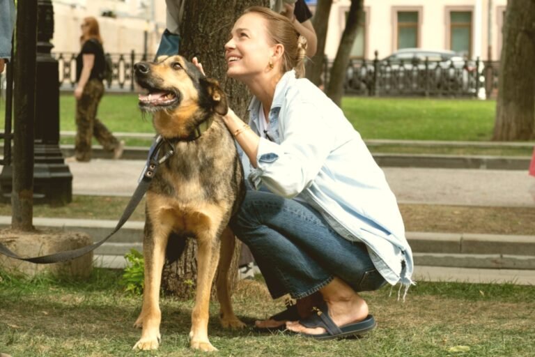 Animal Welfare