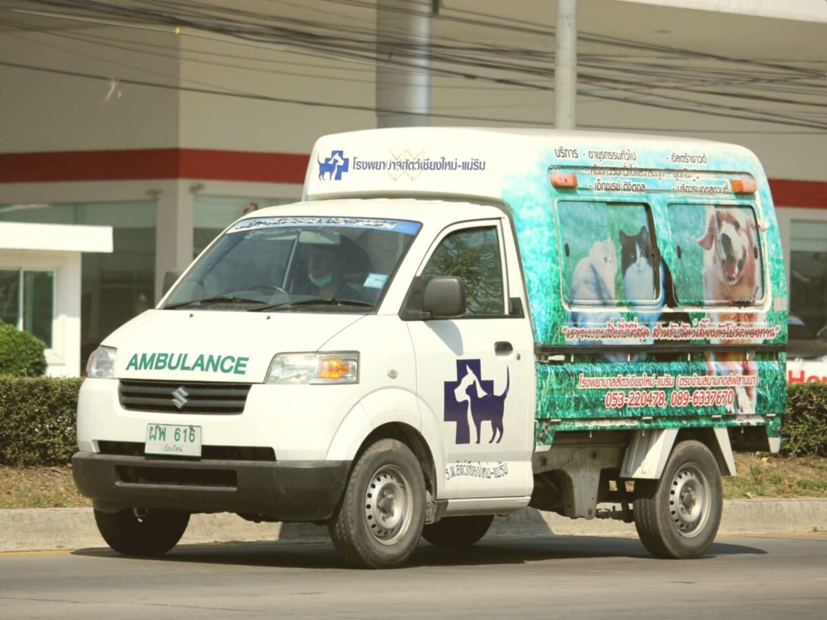 Paw Ambulance | Intention Opened