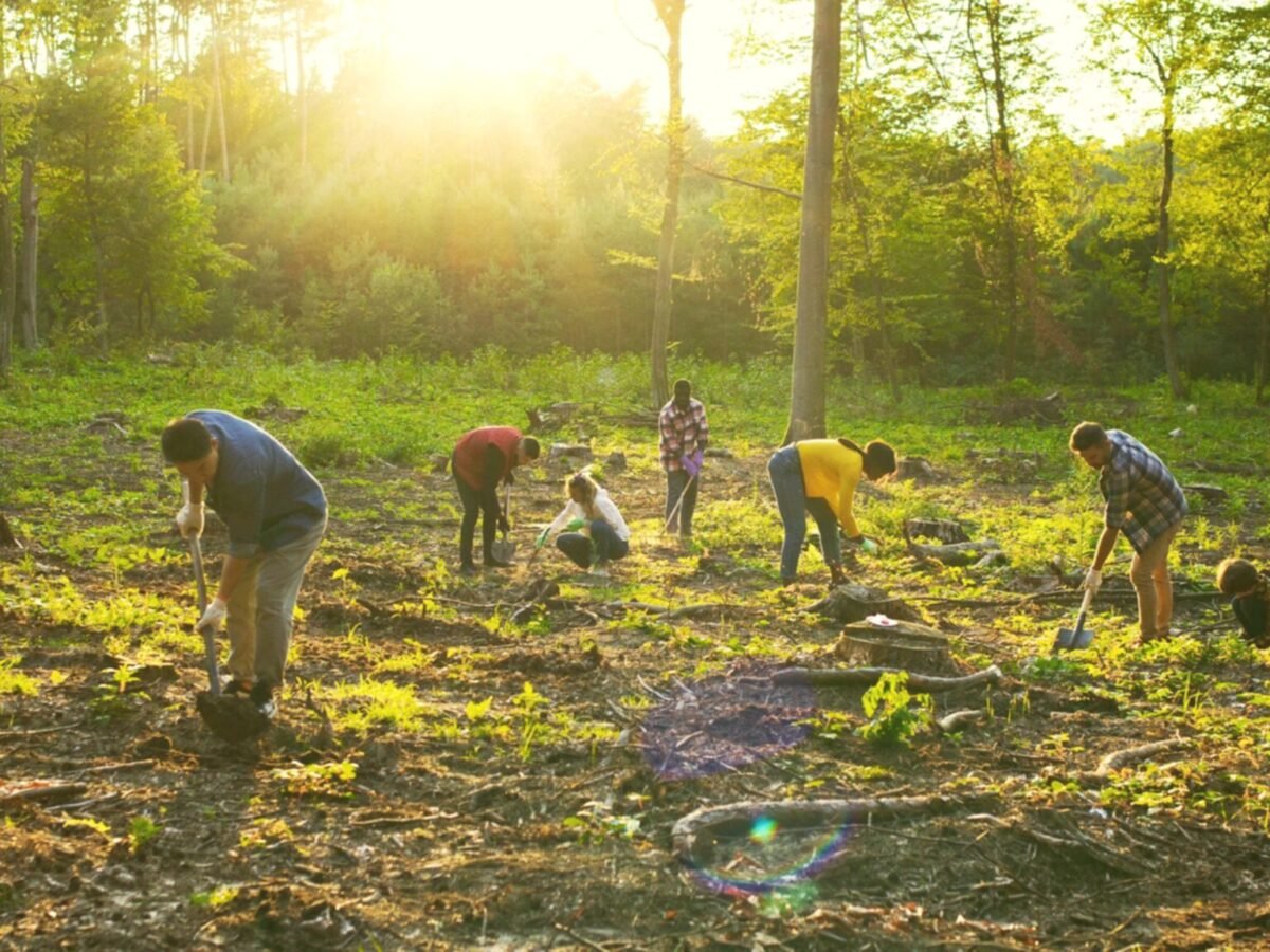 General Environment And Agriculture