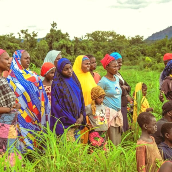 Afrika Su Kuyusu – Hisse