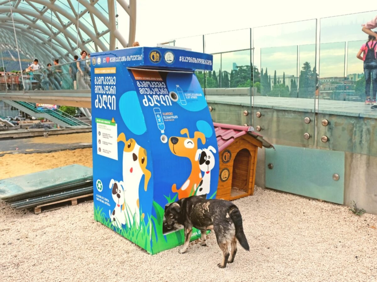 Food And Water Stations | Intention Opened