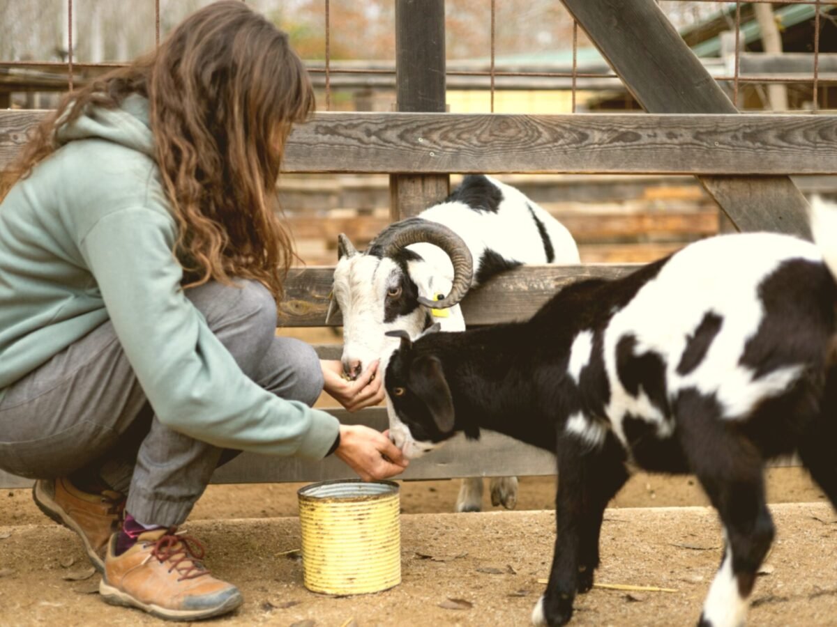 Circular Food Cooperative | Intention Opened