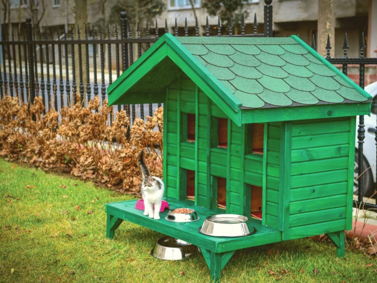 Winter Shelter Hut | Intention Opened