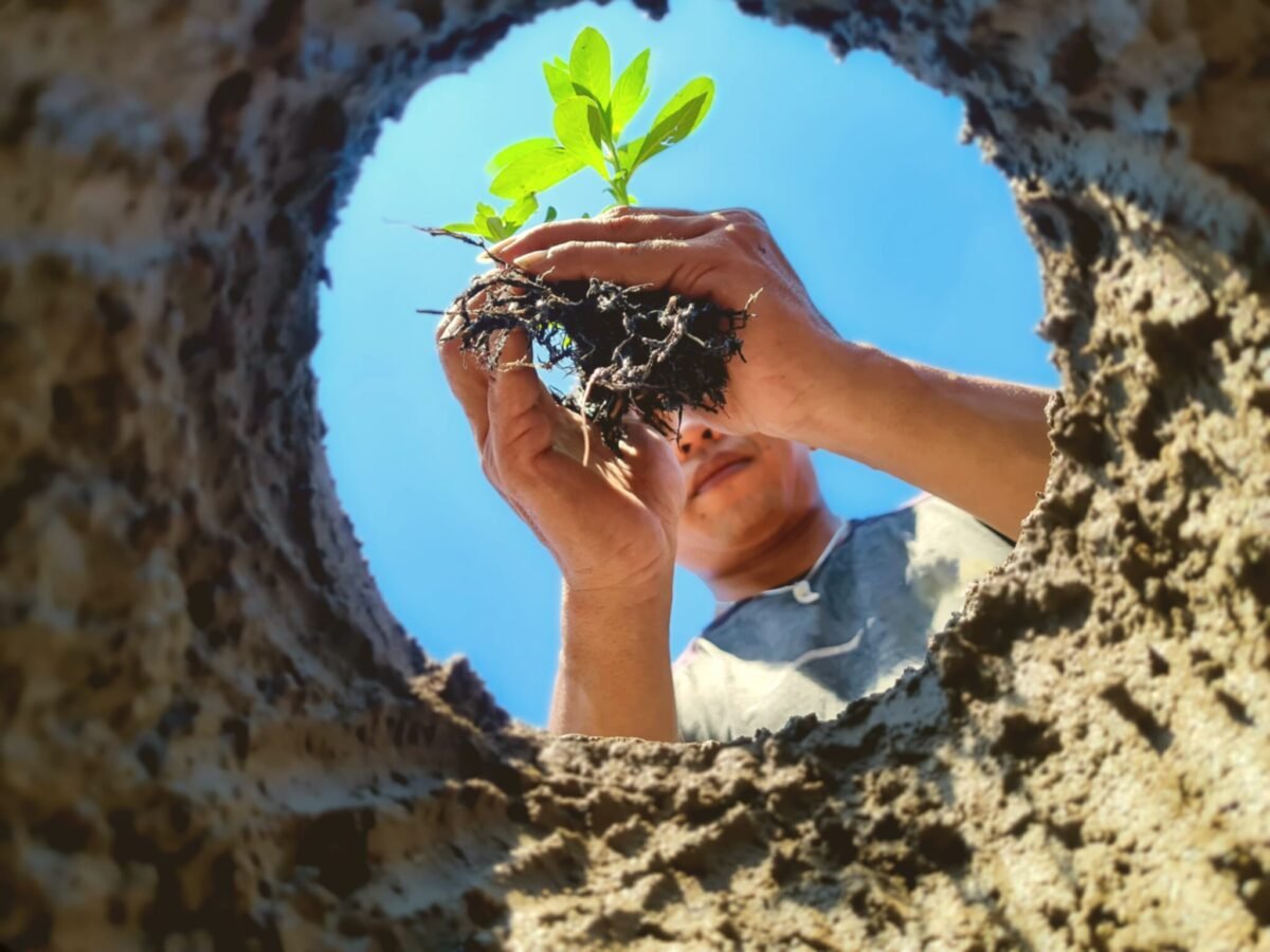 General Environment And Agriculture