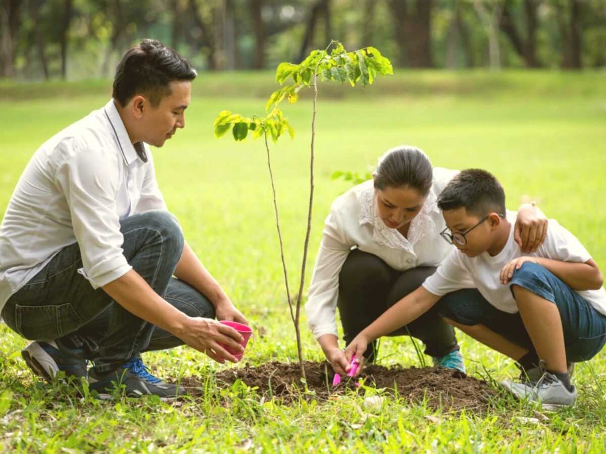 Seed Project | Harvest Hope