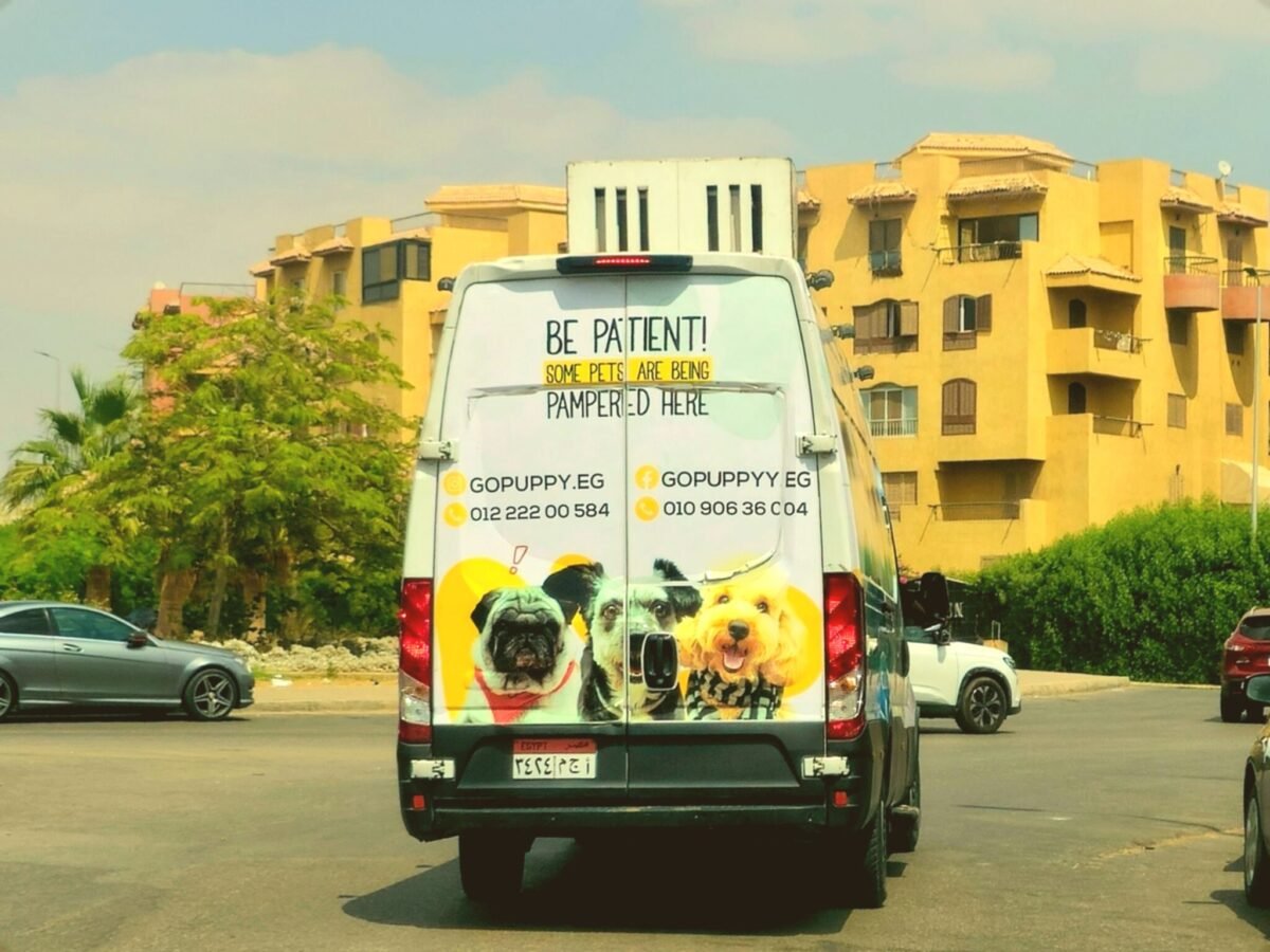 Mobile Veterinary Care | Intention Opened