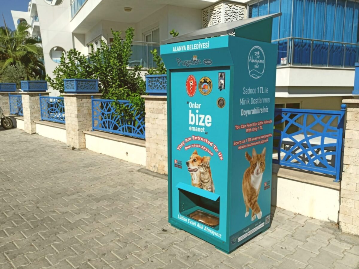 Food And Water Stations | Intention Opened