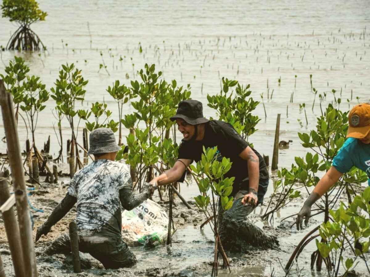 Seed Project | Harvest Hope