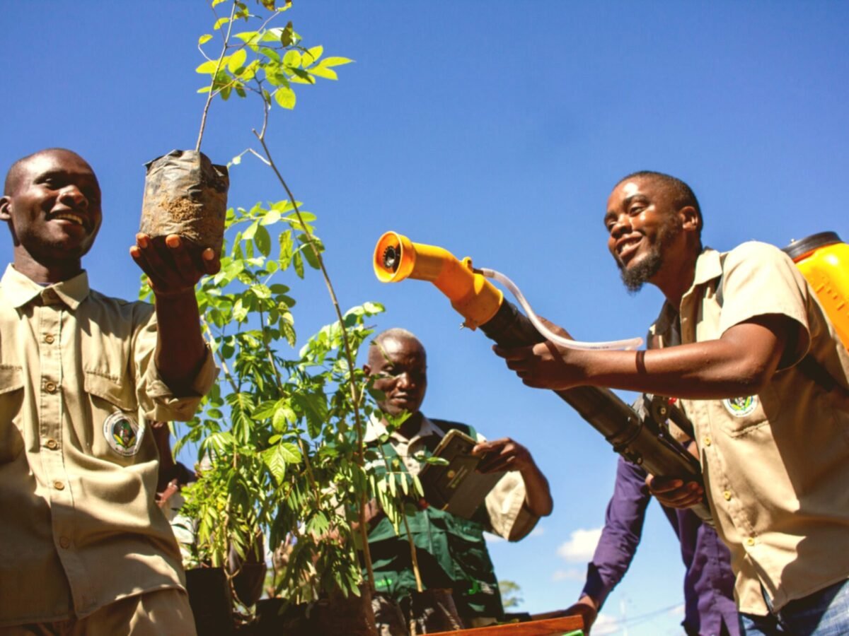 Farming Equipment | Rural Hands