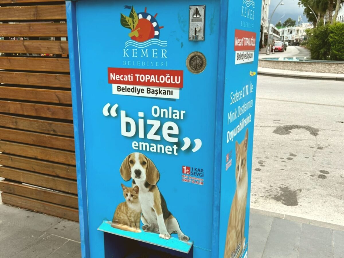 Food And Water Stations | Intention Opened