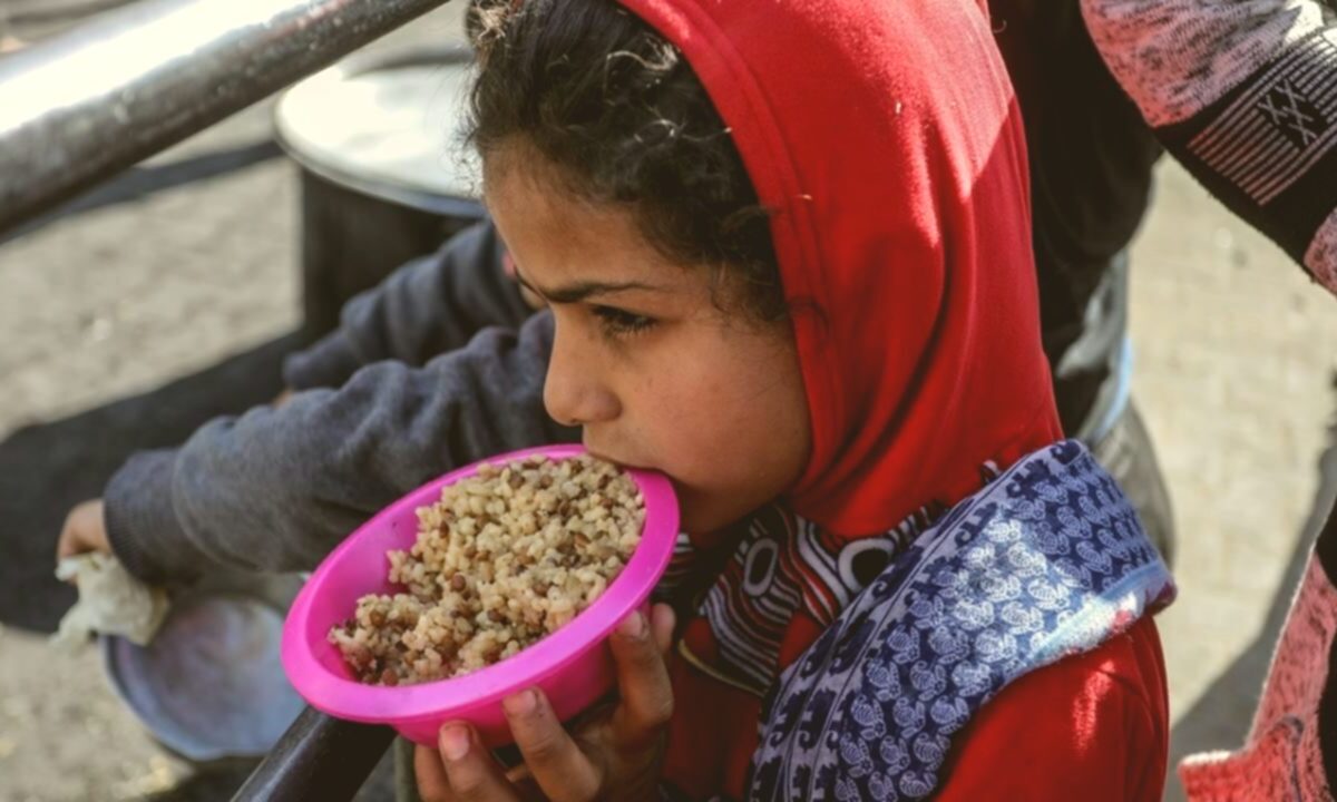 Gaza Hot Meals