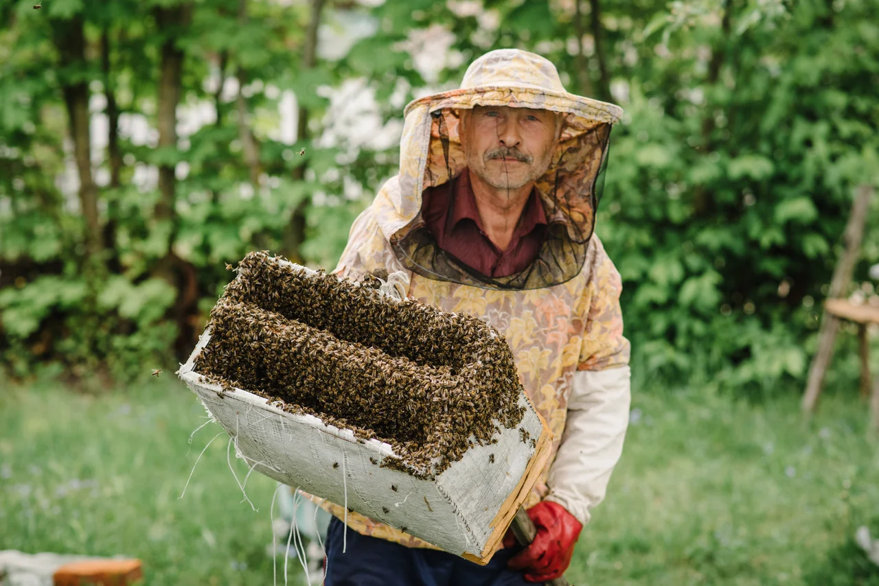 Beehive Cooperative: Income for 100 Families
