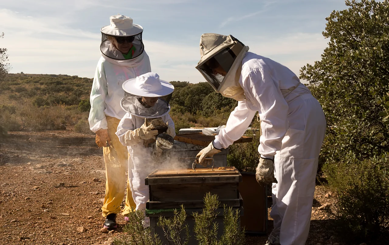 Beehive Cooperative: Income for 100 Families