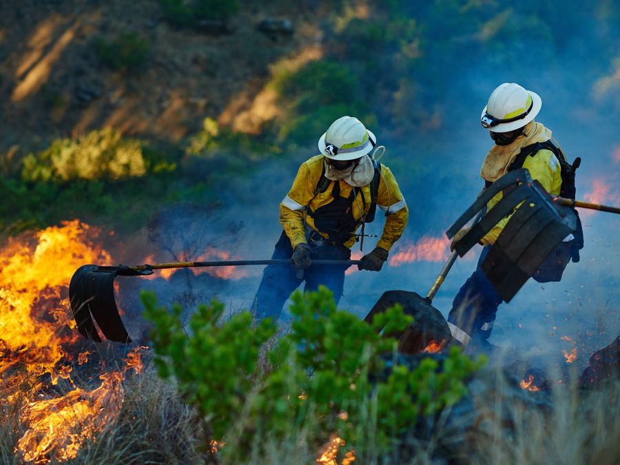 Firefighters tackling a wildfire